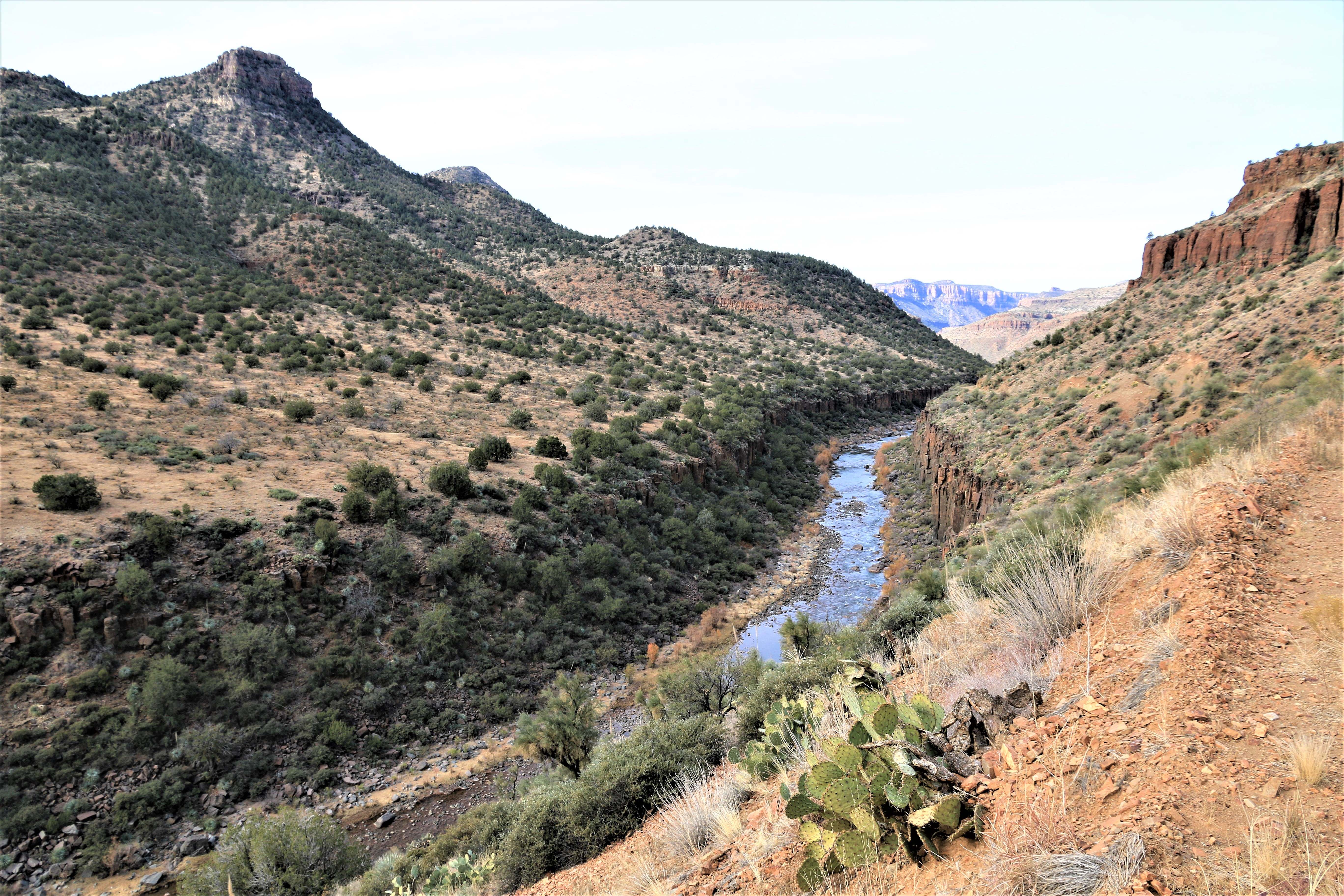 Salt River Canyon